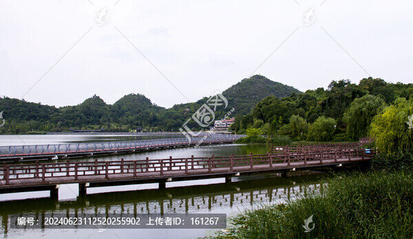 夏至婁湖風(fēng)光美