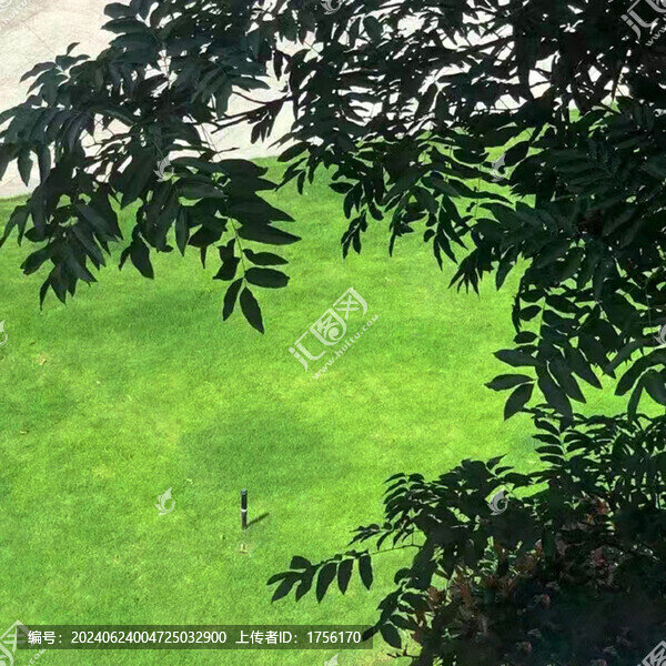綠色草地pg