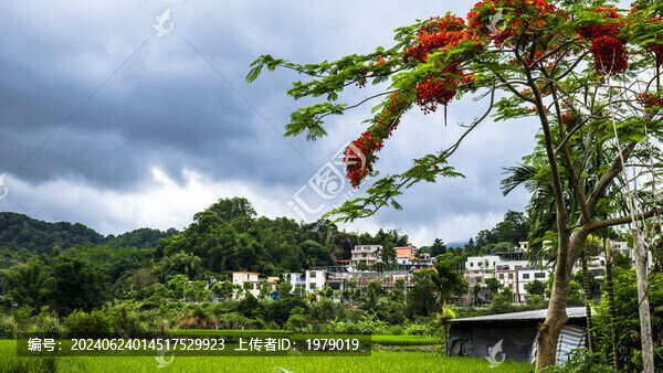 海南五指山