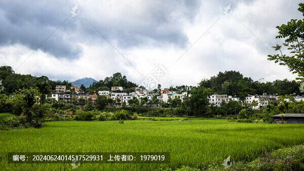 海南五指山