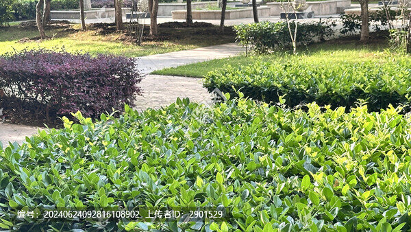 小區(qū)景觀