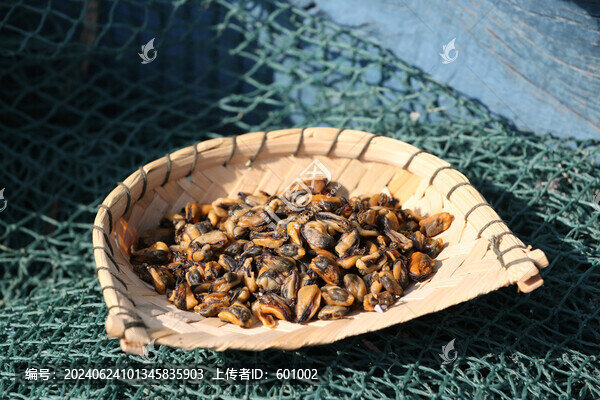 淡菜干