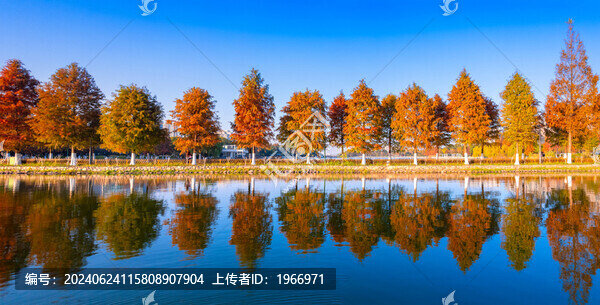 寧波日湖公園