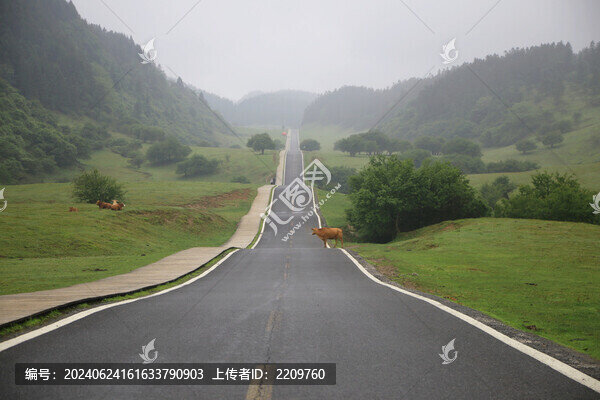 仙女山最美公路