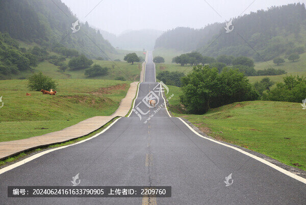 仙女山最美公路