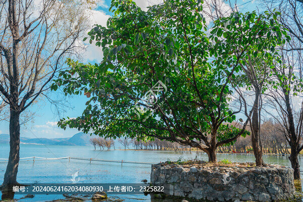 洱海
