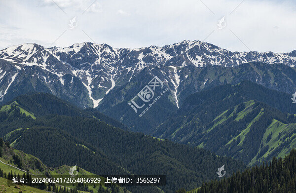 新疆自然風(fēng)光草原森林雪山