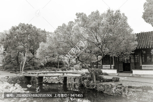 老蘇州