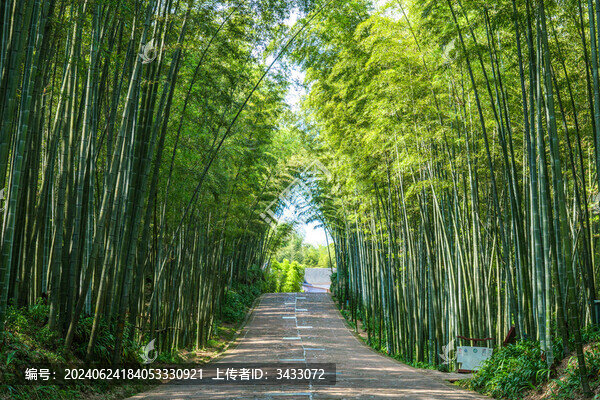 四川宜賓蜀南竹海翡翠長(zhǎng)廊