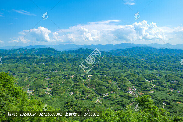 四川宜賓蜀南竹海自然風光