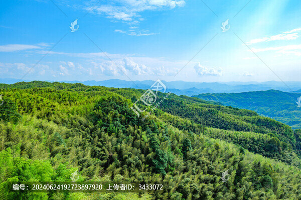 四川宜賓蜀南竹海自然風光