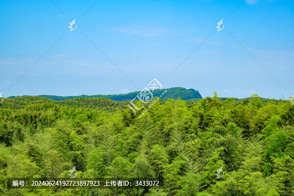 四川宜賓蜀南竹海自然風(fēng)光