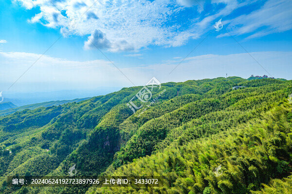 四川宜賓蜀南竹海自然風光