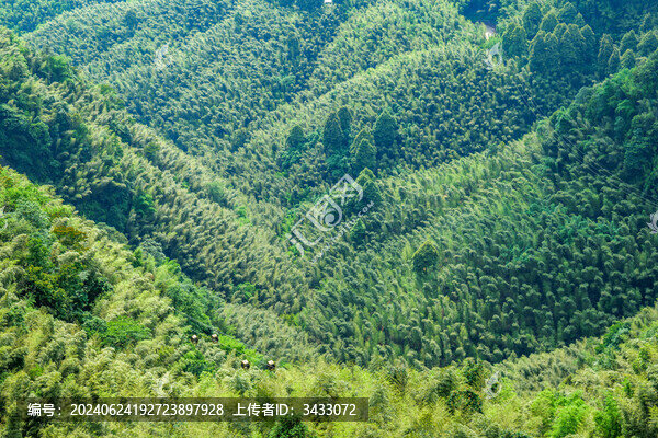 四川宜賓蜀南竹海自然風(fēng)光