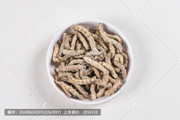 白僵蠶