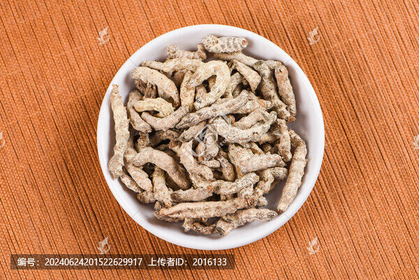 白僵蠶