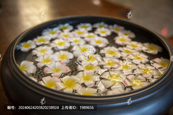 池子里的雞蛋花