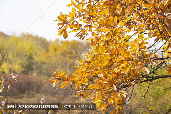 烏蘭布統(tǒng)秋景