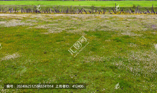 草原花開(kāi)