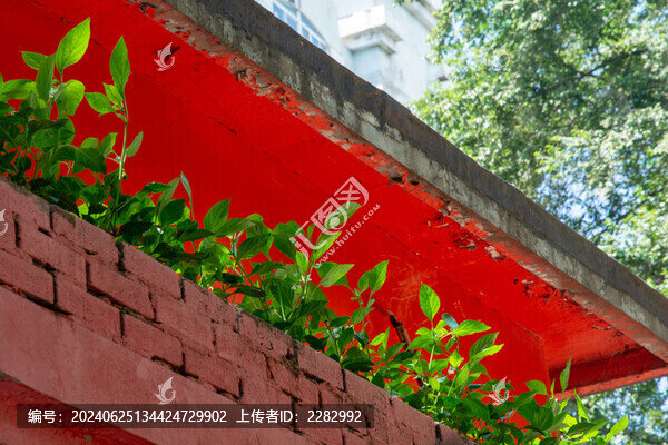 夏天綠色與紅色建筑