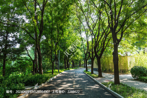 北京林蔭街道