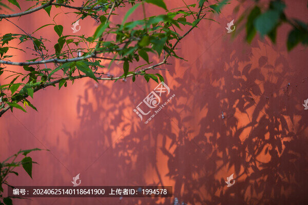 紅墻光影