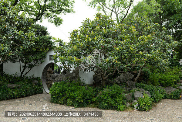 枇杷園