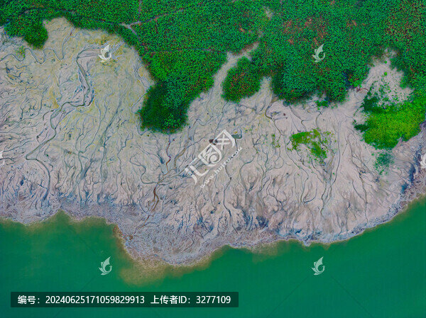 杭州錢塘大灣區(qū)濕地公園風(fēng)光