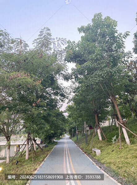 林蔭小路
