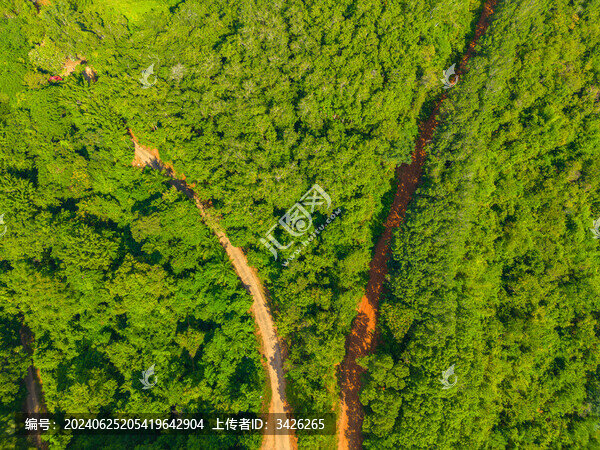 航拍郊外山上的森林和道路