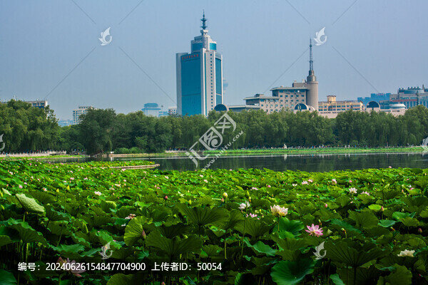 北京蓮花池公園