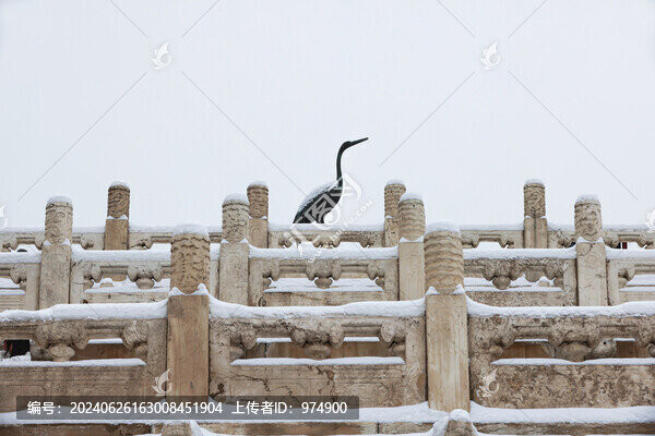 雪中故宮紫禁城