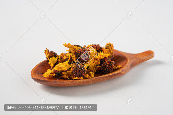 昆侖雪菊