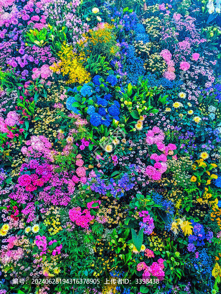 五彩繽紛鮮花叢