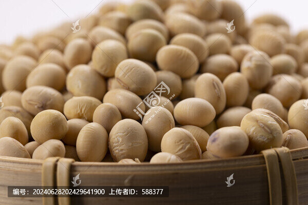 農(nóng)家生態(tài)有機(jī)非轉(zhuǎn)基因黃豆