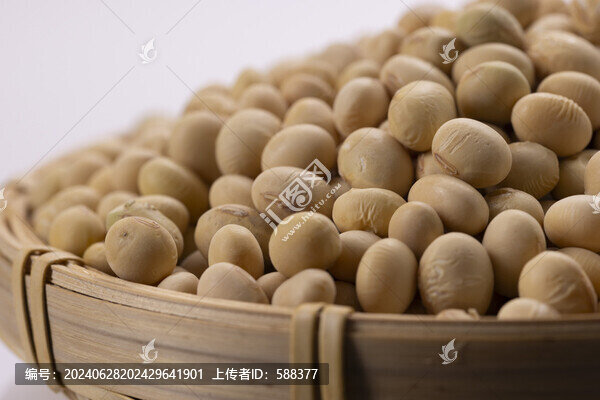 農(nóng)家生態(tài)有機非轉(zhuǎn)基因黃豆