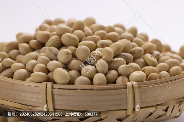 農(nóng)家生態(tài)有機(jī)非轉(zhuǎn)基因黃豆