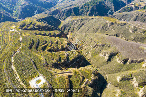 秋天的高粱地