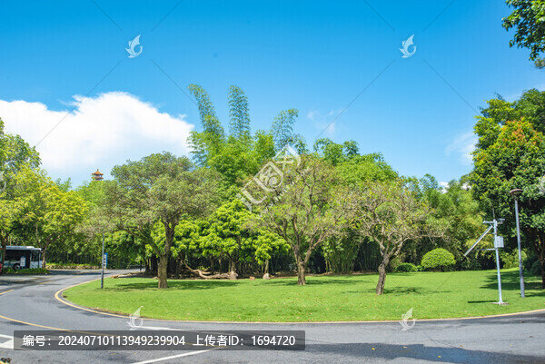 仙湖植物園