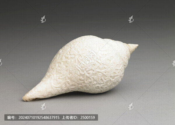 番蓮紋白螺