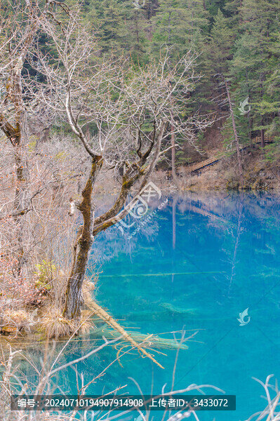 四川九寨溝山水美景自然風(fēng)光
