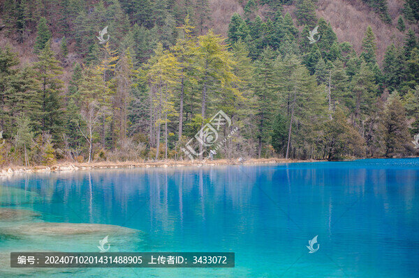 四川九寨溝山水美景自然風光