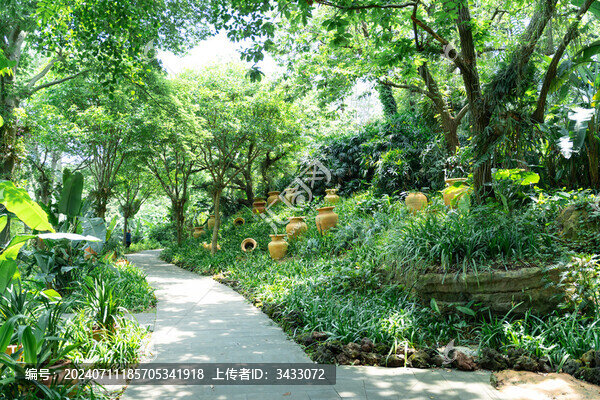 廣西南寧青秀山植物園