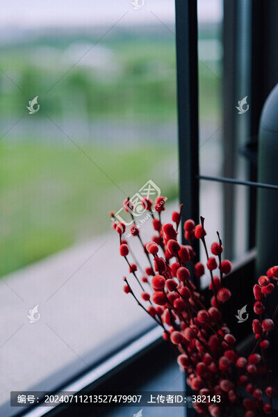 紅色銀柳