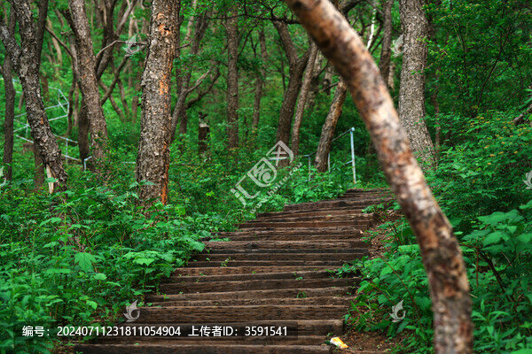 林間小路