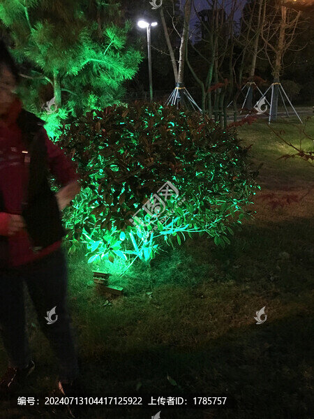 照樹(shù)燈公園亮化夜景實(shí)拍