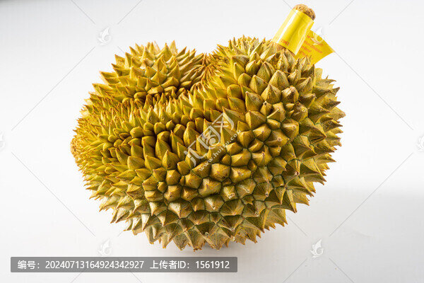 榴蓮