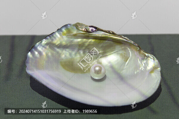 河蚌珍珠