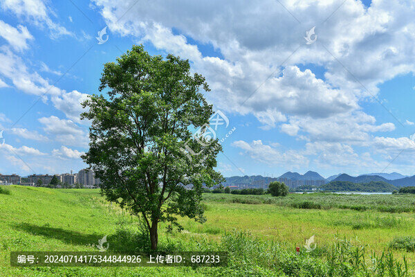 藍天白云下綠樹綠草地