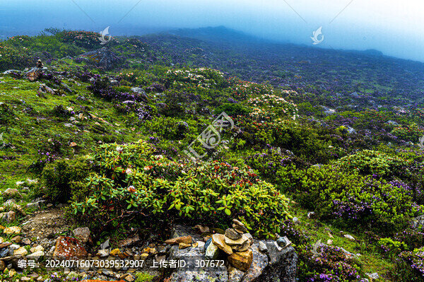 貢嘎雪山紅石風(fēng)光